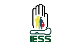 9 logo iess